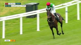 Frankel filly to follow! Pyledriver's half-sister SHAGPYLE wins on debut at Ascot