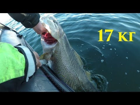 Рыбалка на Баренцевом море / Fishing in the Barents sea