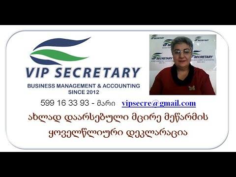 ახლადდაარსებული მცირე მეწარმის წლიური საშემოსავლო დეკლარაცია, VIP Secretary, Mari Shishmanashvili