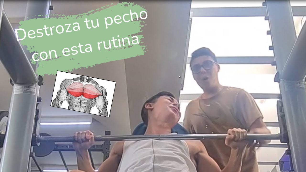 La mejor rutina de Pecho para principiantes - YouTube