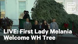 Famous First Lady Melania Trump Welcomes the White House Christmas Tree | LIVE | NowThis Wealth