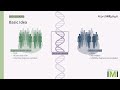 ReproSNP Phenotype Specific Variant Filtering And Lynn Ogoniak Poster ISMB ECCB 2023 ReproSNP Phenotype Specific Variant Filtering And Lynn Ogoniak Poster ISMB ECCB 2023