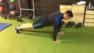 Plank w/Hip Flexion