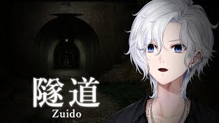【 隧道 】トンネルで撮影するなんて世間は許してくれやせんよ【 ホラゲ 】
