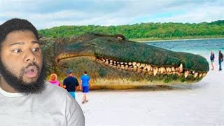 The 25 LARGEST Animals Ever Caught on Camera (Unbelievable!!!)