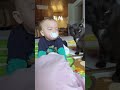 when cats meet baby
