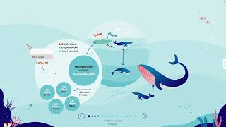 Famous Interactions with Climate Change: a Data Humanism Design Approach Net Worth