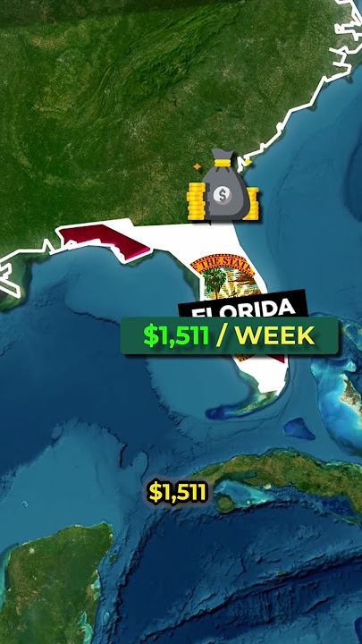 What a salary if $100,000 will look like after taxes in Florida #shorts