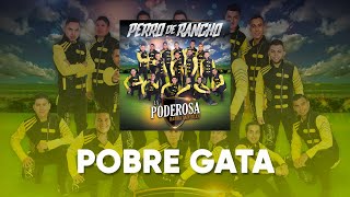 La Poderosa Banda San Juan - Pobre Gata (Lyric Video)