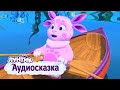 Лунтик | Аудиосказка | Что в пруду?