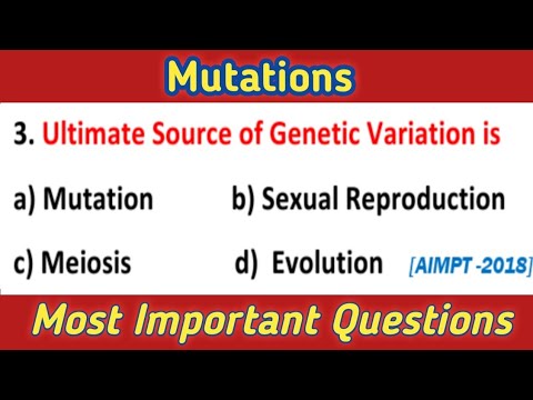 वीडियो: अनुवांशिक उत्परिवर्तन प्रश्नोत्तरी क्या उत्पन्न करते हैं?