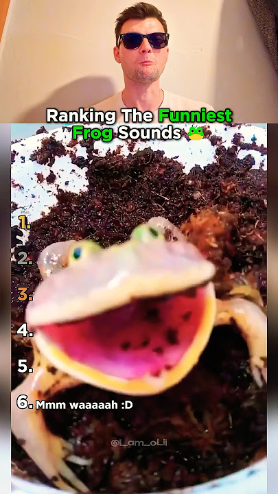 Top 6 Frog Sounds That Made Us Laugh Out Loud!