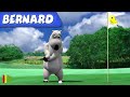 Bernard bear  golf y ms  dibujos animados para nios