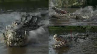 La Brea [2021 - 2024] - Purrusaurus Screen Time
