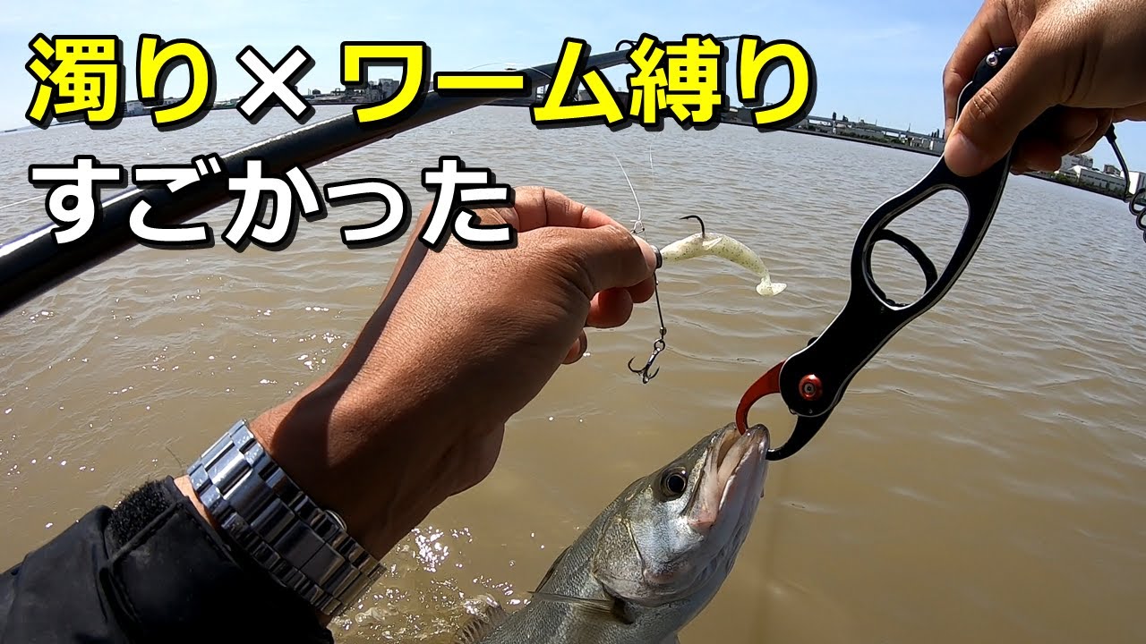 雨後濁りの中ワーム縛りでシーバス狙った結果がこれ