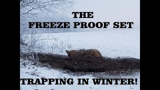 FREEZE PROOF A TRAP TO CATCH A COYOTE, FOX, BOBCAT, AND RACCOON
