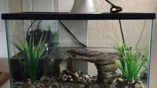 10 gallon turtle starter kit