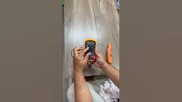 carrot current experiment 🥕  #scienceexperiments #easy_science_experiment #viral #viralshort