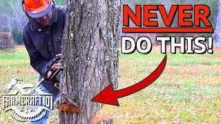 How To Chainsaw Like a Boss. This Could Save Your Life.