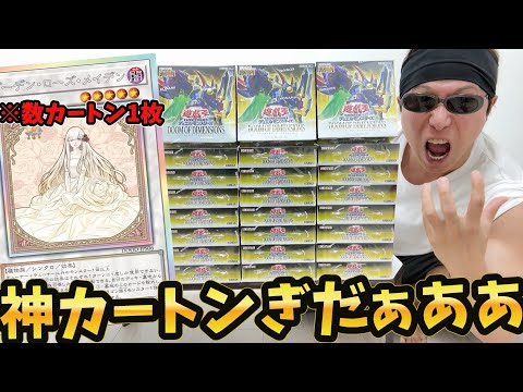 【未開封1カートン】遊戯王 ドゥームオブディメンションズ 楽天市場】【1カートン24BOX入り】遊戯王OCGデュエル