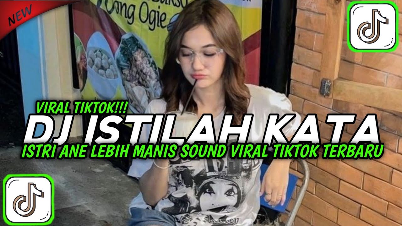DJ ISTILAH KATA ISTRI ANE LEBIH MANIS | DJ ISTILAH KATA REMIX BY ELART RIMEX VIRAL TIKTOK 2025 !!!