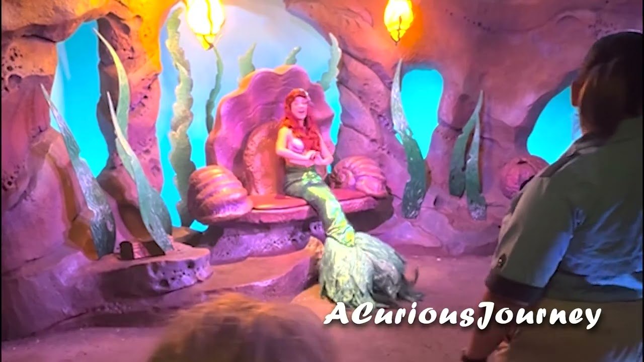 Magic Kingdom ✨🏰