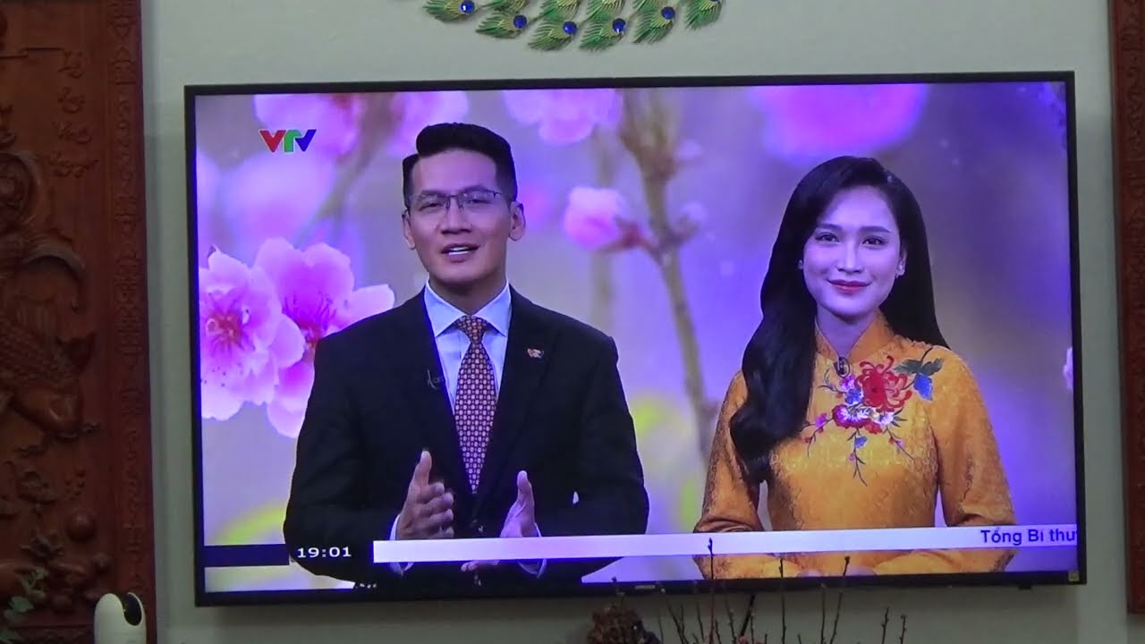 đang đi tìm mèo tự dưng bắt xem logo mất số