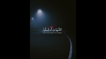 اكتب شيء تؤجر عليه 😴❤️#القارئ ياسر الدوسري