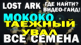 LOST ARK - ГДЕ НАЙТИ? ВСЕ СЕМЕНА МОКОКО - ВИДЕО-ГАЙД - ТАЕЖНЫЙ УВАЛ