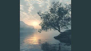 Soft Harmony Rhythms