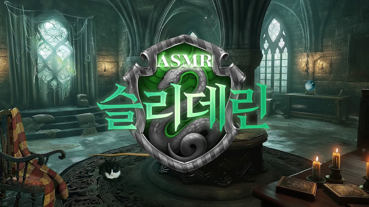 야, 잡종, 공부해. 슬리데린에 2등 따윈 없어🌙 공부할 때 듣는 해리포터 ASMR