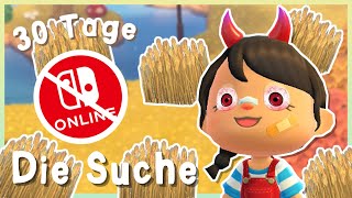 Tag 12 - Ich gestalte eine Insel ohne Nintendo Switch Online in 30 Tagen