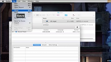 Demux .MP4 files Free on Mac-NA1