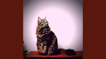 Pulsating Ambience for Relaxing Cats