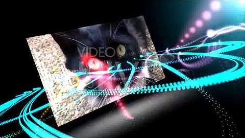 After Effects Project Files - Audio React | VideoHive