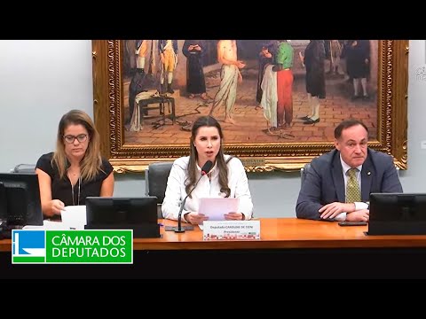 COMISSÃO DE CONSTITUIÇÃO E JUSTIÇA E DE CIDADANIA