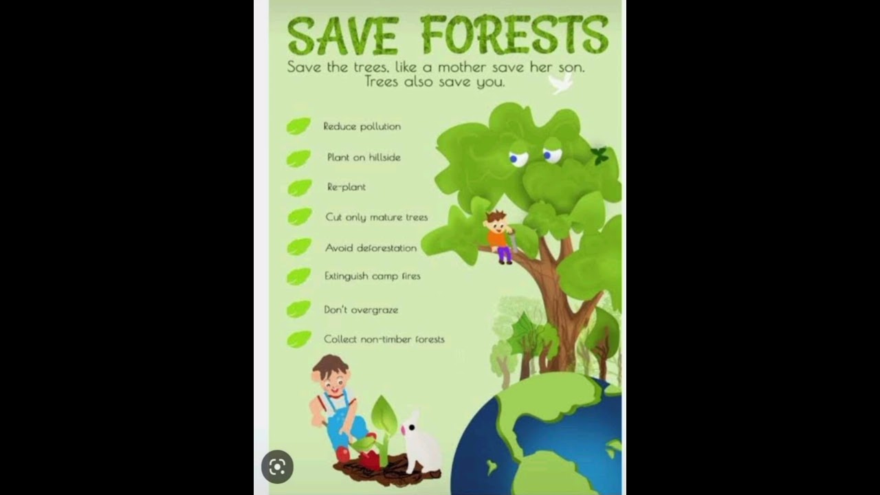 Save Forests || Save the trees 