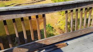 110 Poplar Pointe