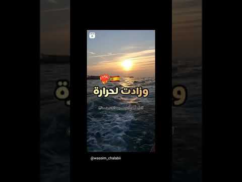 ستاتي تيك توك 