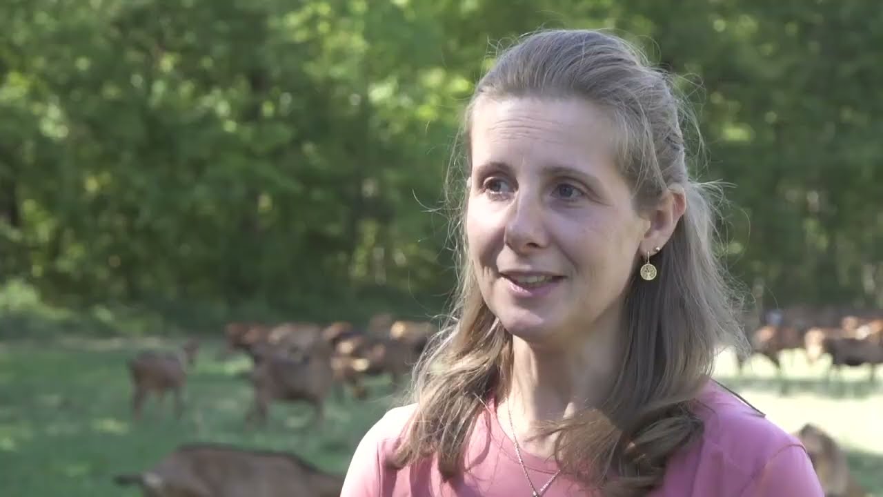 GAEC de Maillolong : Pâturage et longue lactation en élevage caprin