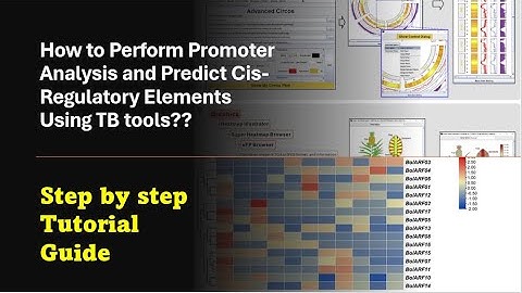 How to Perform Promoter Analysis and Predict Cis-Regulatory Elements Using TBtools