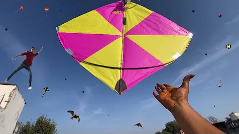 * Big Kite Looting 😱 | Kite Looting New Video 😍| Big Patang Loot li 🔥