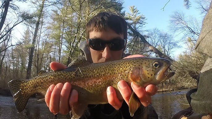 Fishing RI trout 