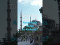 Türkiye’de her yerde var... Almanya’da neden bu kadar az?