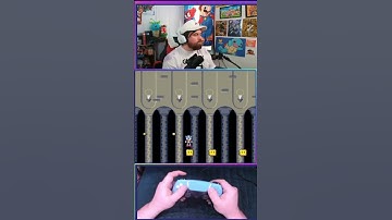 Shelltopia Castle of shells