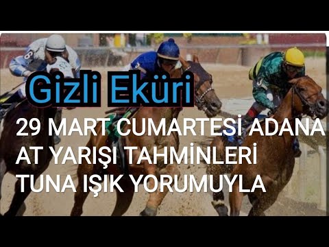 29 MART 2025