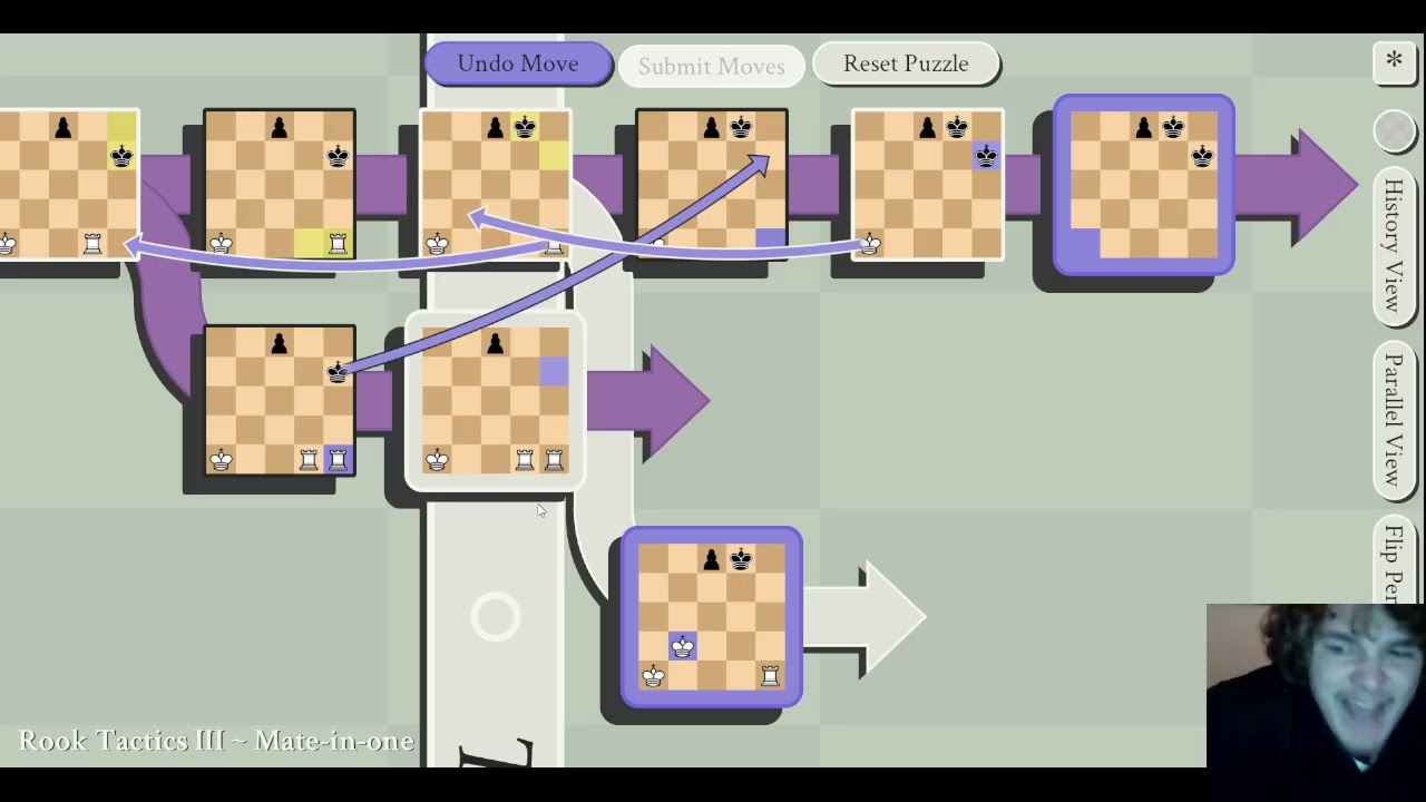 I GOT 5D CHESS...FINALLY!!