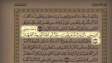 سورة يوسف بصوت الشيخ سعد التوم السبيعي