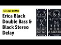 Erica Black Double Bass & Black Stereo Delay Sound Demo (no