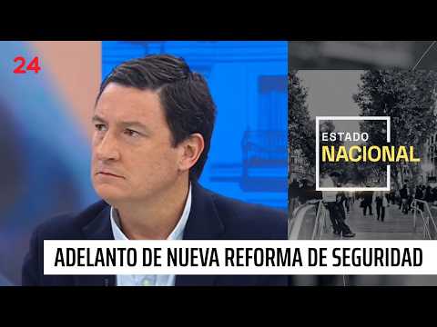 Squella previews new security reform: "It does not seek to create a new state of emergency"